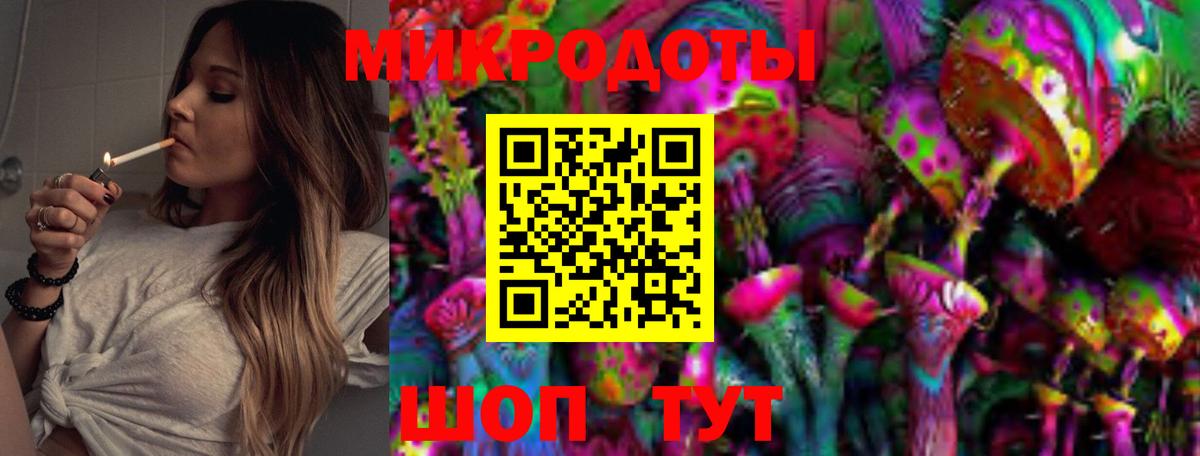 Галлюциногенные грибы GOLDEN TEACHER  Вход с VPN  Тимашёвск  магазин продажи   Галлюциногенные грибы мицелий 