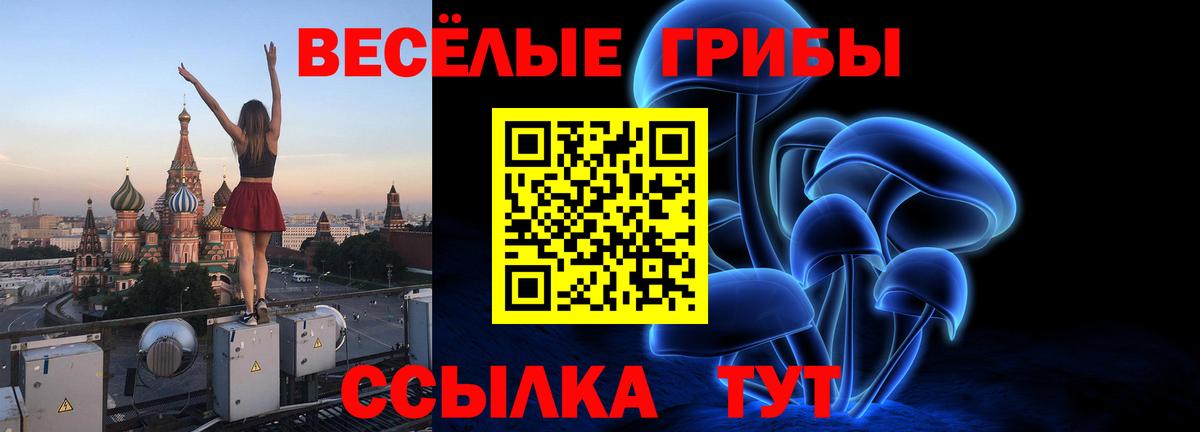 Галлюциногенные грибы Magic Shrooms Тимашёвск